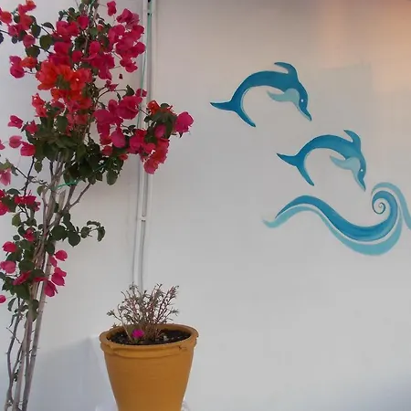 Korina's 아파트 *