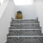 Korina's