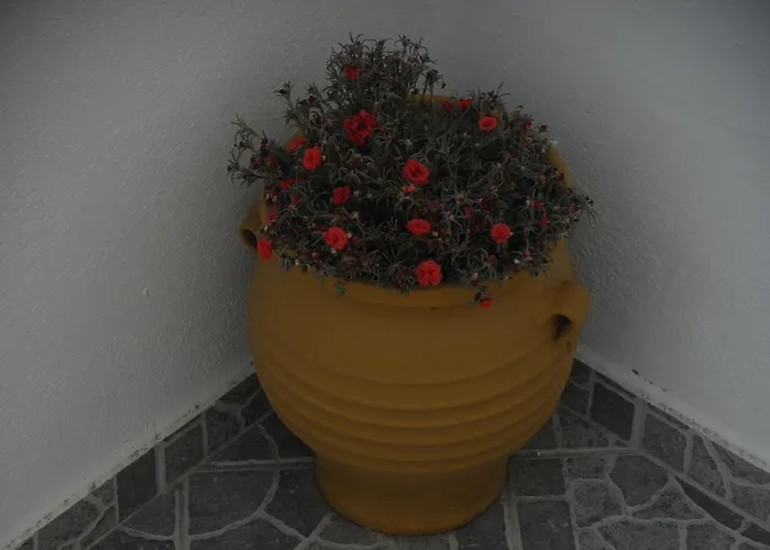 Korina's Appartement